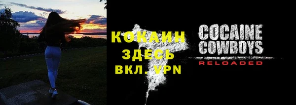 ГАЛЛЮЦИНОГЕННЫЕ ГРИБЫ Пестово