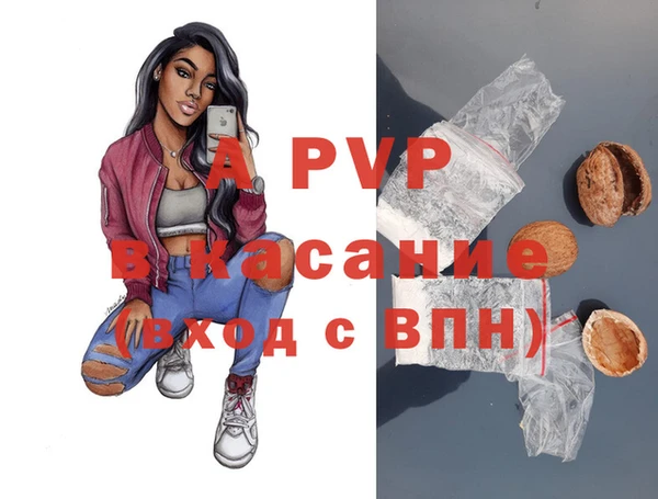 амф Пересвет