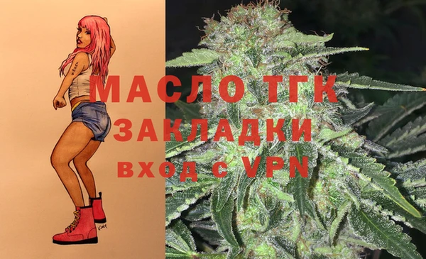амф Пересвет