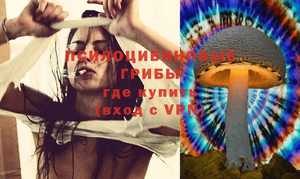 ГАЛЛЮЦИНОГЕННЫЕ ГРИБЫ Пестово