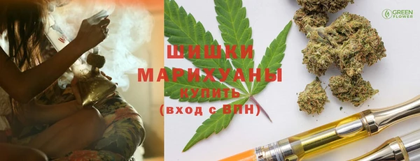ГАЛЛЮЦИНОГЕННЫЕ ГРИБЫ Пестово